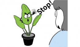 菠菜漫画,趣味横生的日常生活趣事