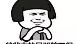 爆料卧槽吃瓜视频大全集,视频大全集深度解析