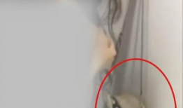 美女视频啪啪,美女视频中的私密瞬间揭秘